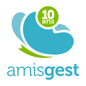 Amisgest Technologie inc.